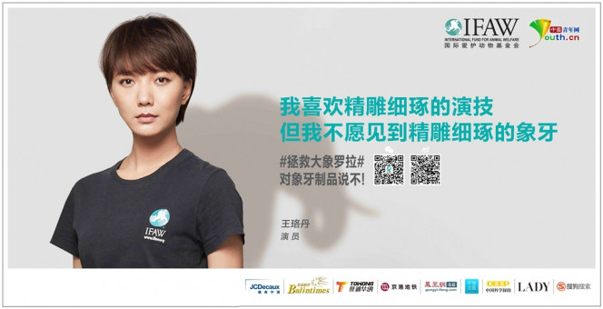 一张美味的图片 &middot; #5486