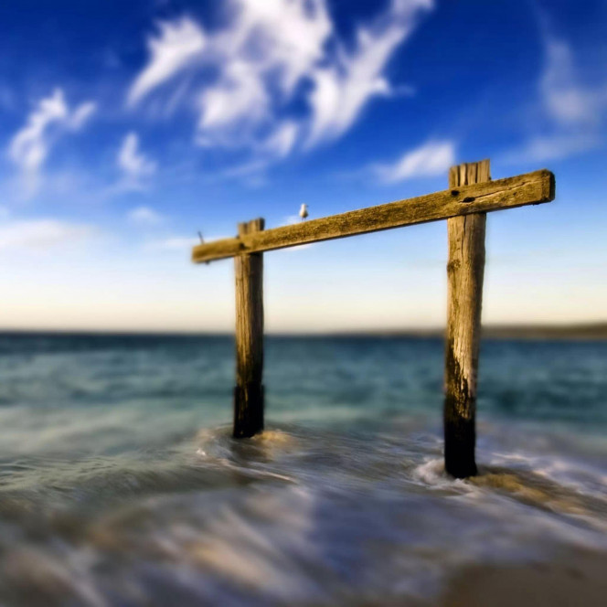 一张美味的图片 · #2264