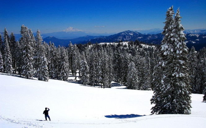 一张美味的图片 · #1883