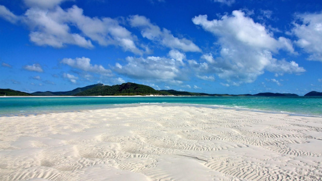 一张美味的图片 · #2579