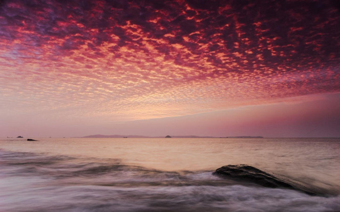 一张美味的图片 · #3499