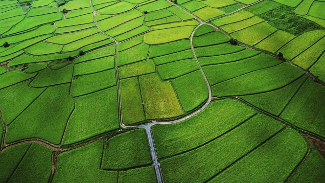 一张美味的图片 · #2595