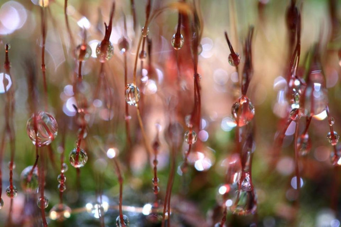 一张美味的图片 · #2852