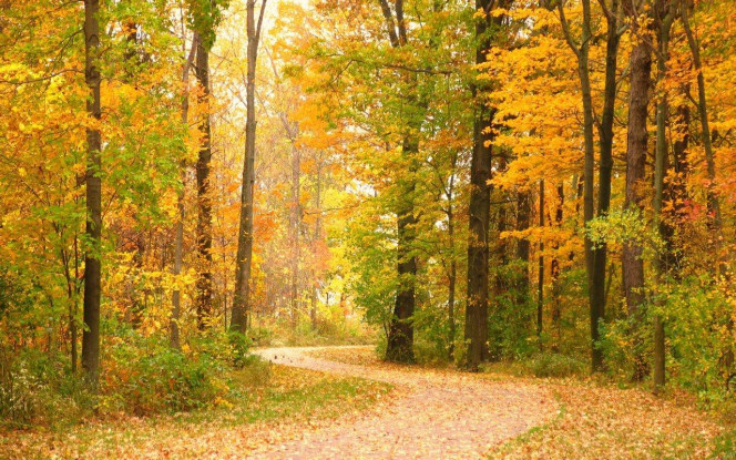 一张美味的图片 · #3940