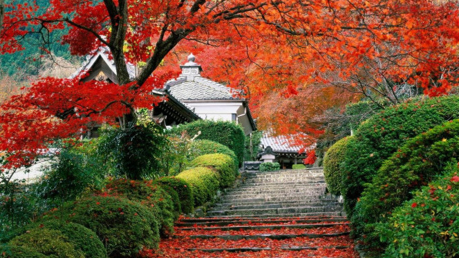 一张美味的图片 · #2329