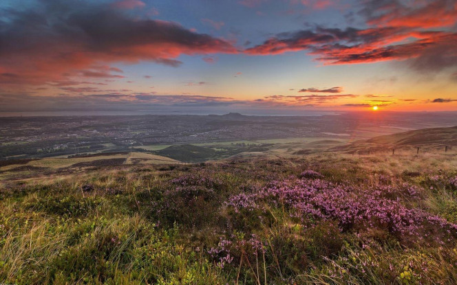 一张美味的图片 · #3694