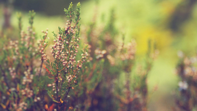 一张美味的图片 · #3609