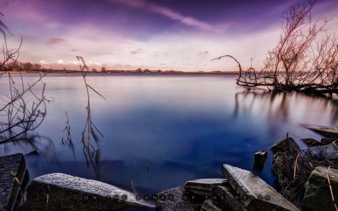 一张美味的图片 &middot; #3745