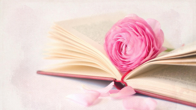 一张美味的图片 · #3448