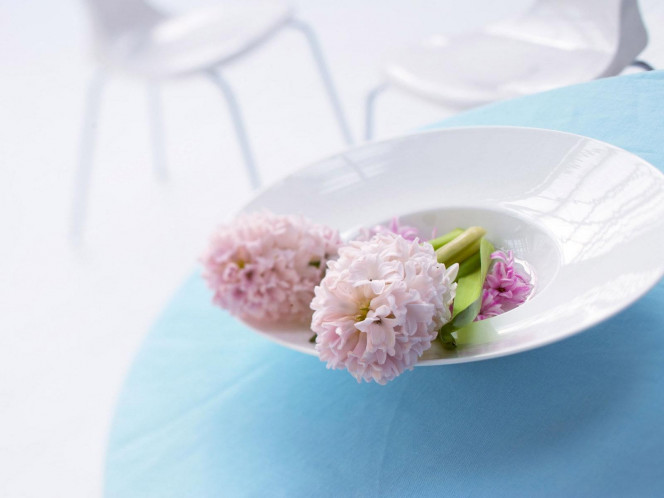 一张美味的图片 · #3593