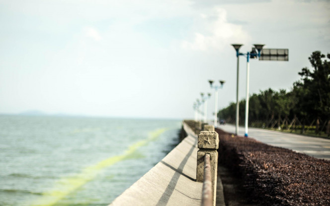 一张美味的图片 &middot; #78