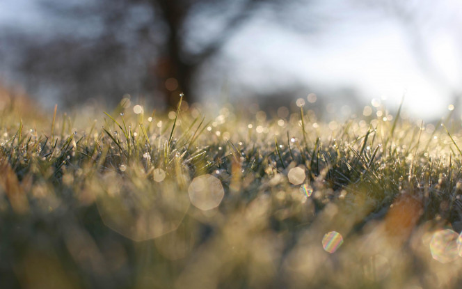 一张美味的图片 · #76