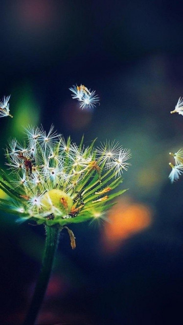 一张美味的图片 · #138