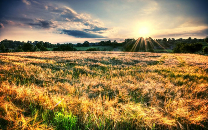 一张美味的图片 · #3171