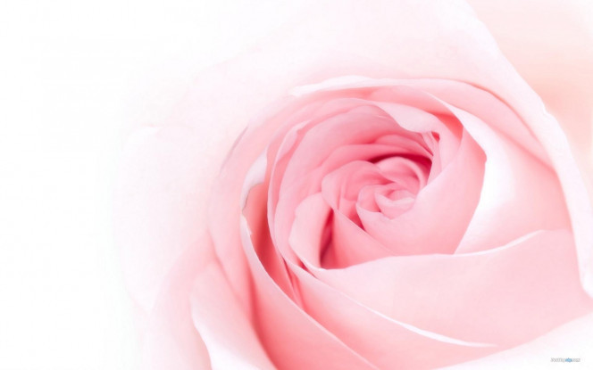 一张美味的图片 &middot; #3345