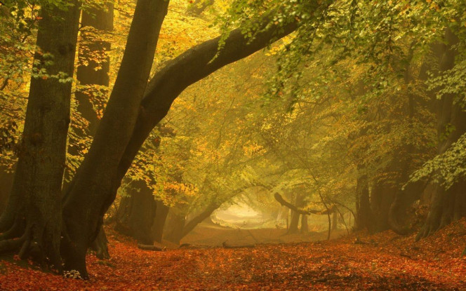 一张美味的图片 · #1906