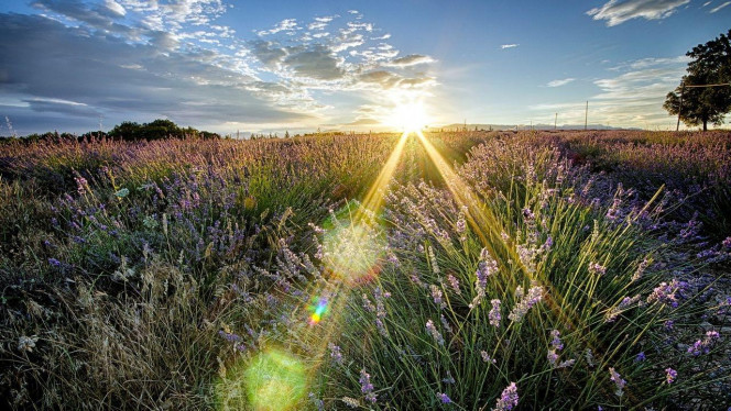 一张美味的图片 · #4330