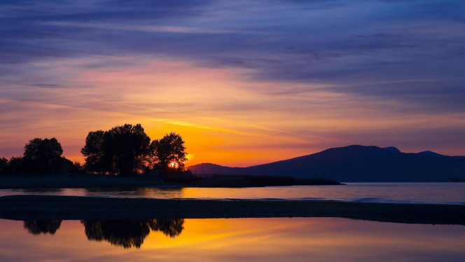 一张美味的图片 · #4570