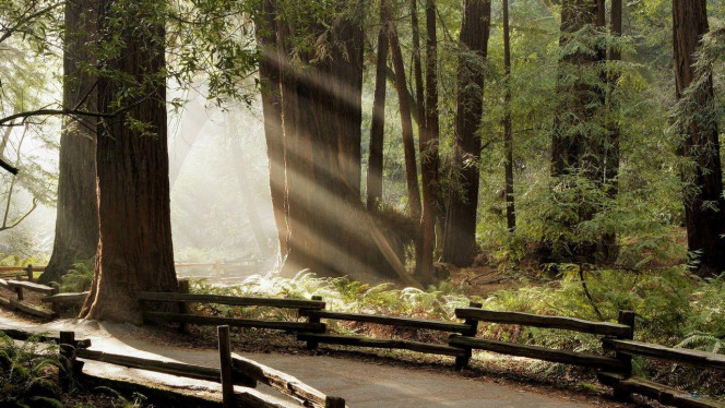 一张美味的图片 · #2321