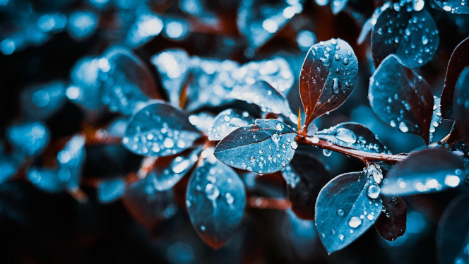 一张美味的图片 · #4004