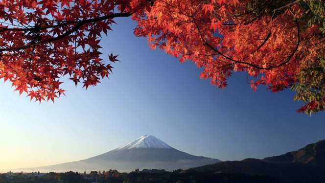 一张美味的图片 &middot; #4054