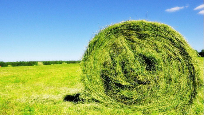 一张美味的图片 · #2590