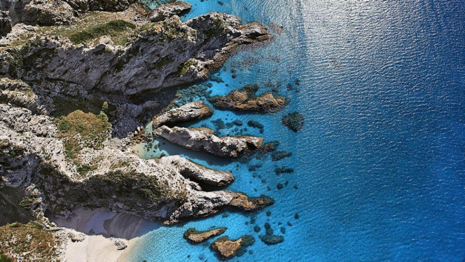 一张美味的图片 · #2469