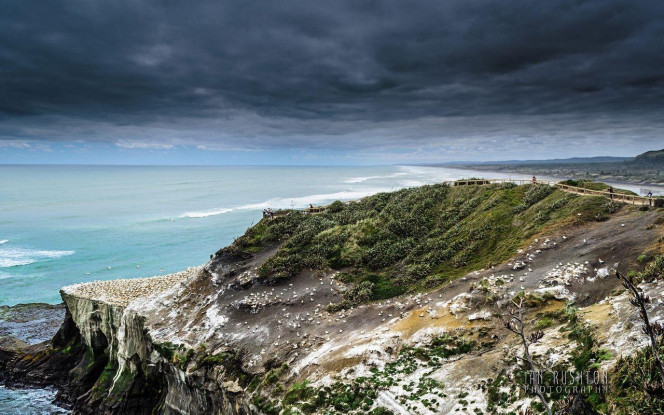 一张美味的图片 · #1915