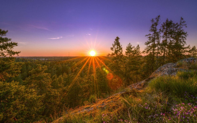 一张美味的图片 · #3747