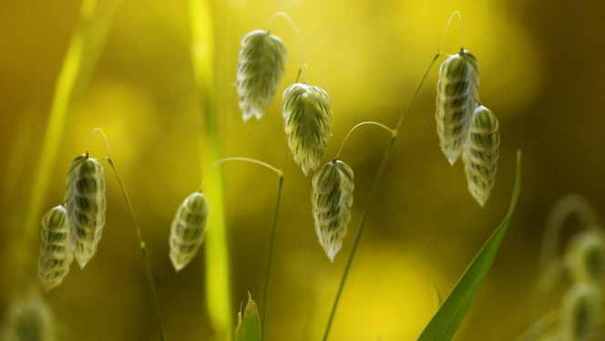 一张美味的图片 · #2902