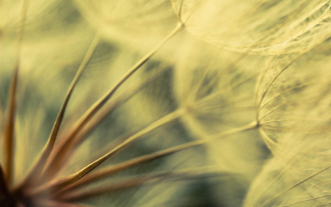 一张美味的图片 &middot; #84