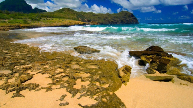 一张美味的图片 · #4144