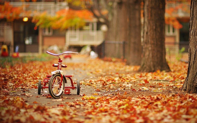 一张美味的图片 · #4047