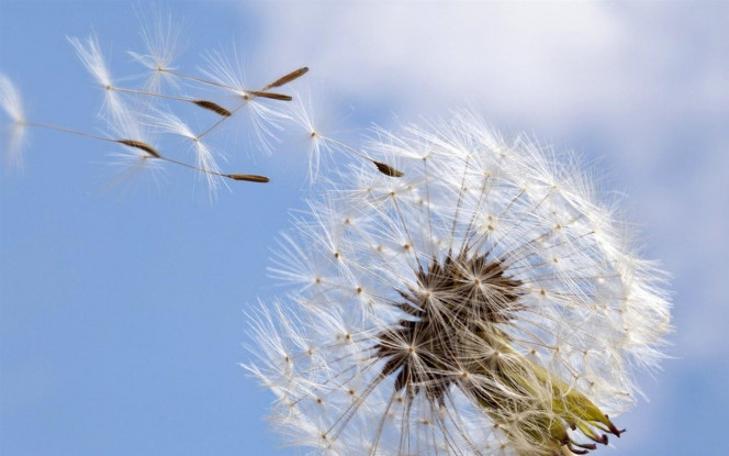 一张美味的图片 · #2604