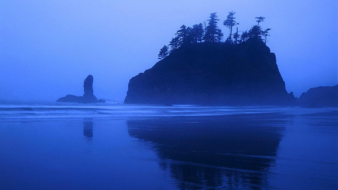 一张美味的图片 · #4580