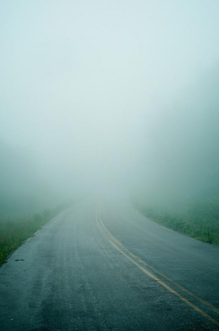 一张美味的图片 &middot; #235