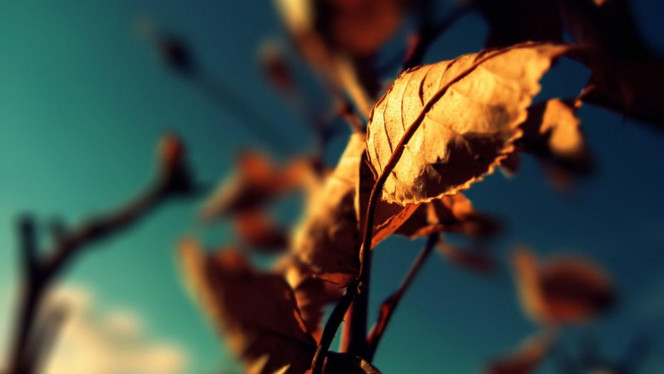 一张美味的图片 · #2480