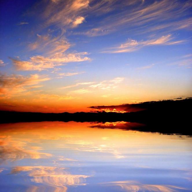 一张美味的图片 · #2268