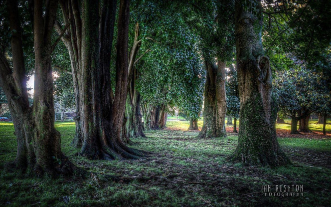 一张美味的图片 · #1926