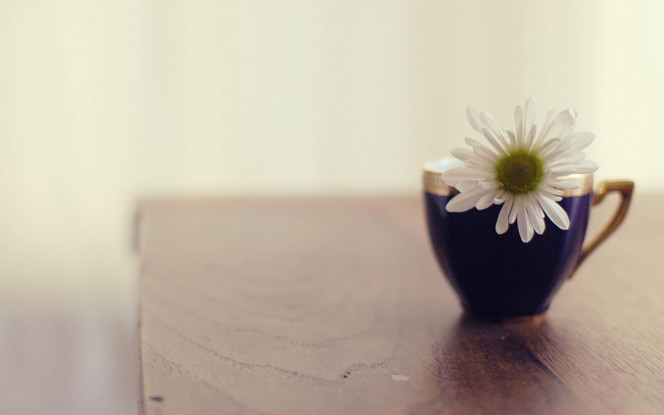 一张美味的图片 · #89