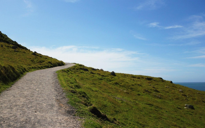 一张美味的图片 &middot; #2663