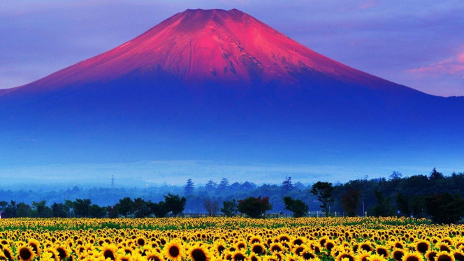 一张美味的图片 · #4266