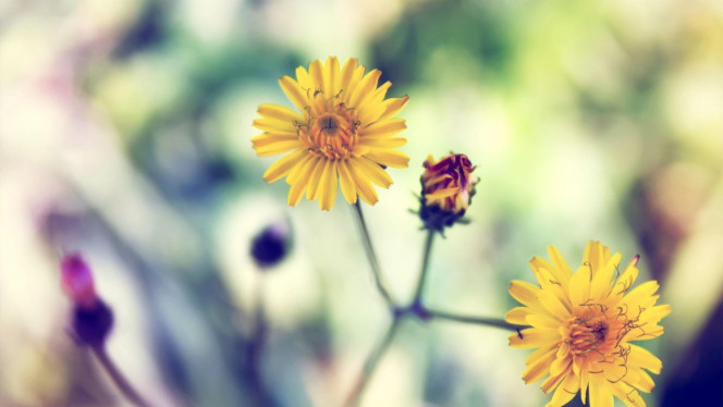 一张美味的图片 · #2442