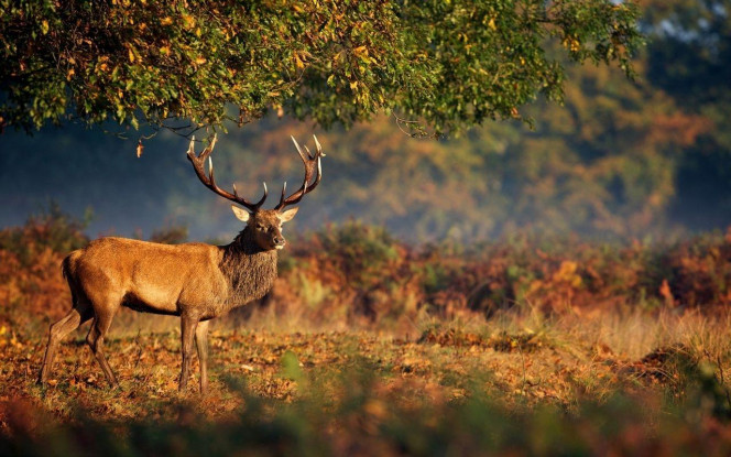 一张美味的图片 · #4014