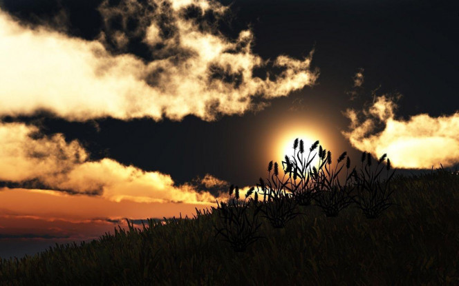 一张美味的图片 · #2461