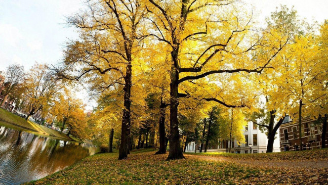 一张美味的图片 · #3703