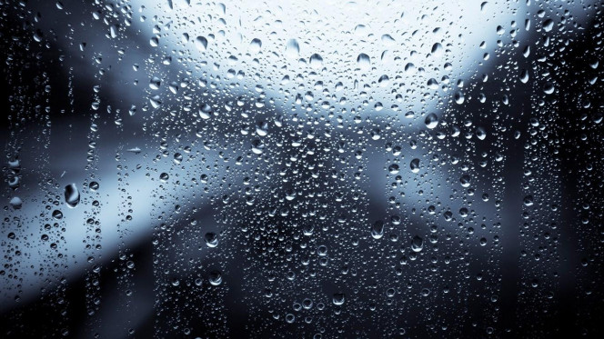 一张美味的图片 · #2518