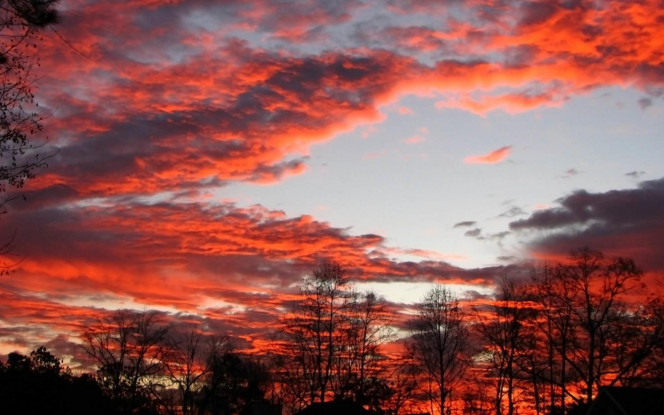 一张美味的图片 · #1176