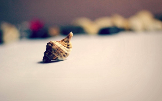 一张美味的图片 &middot; #67