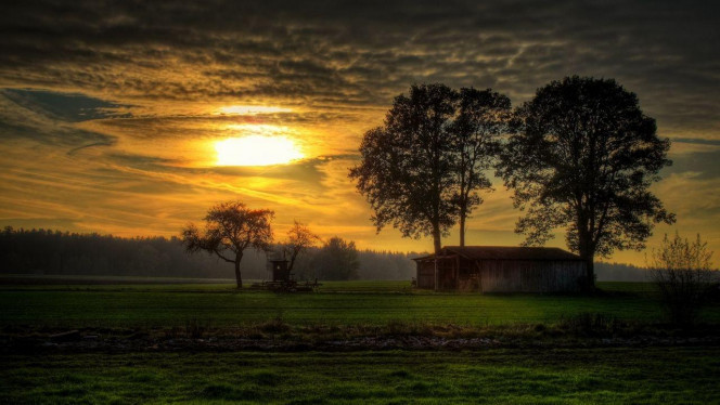 一张美味的图片 · #4131